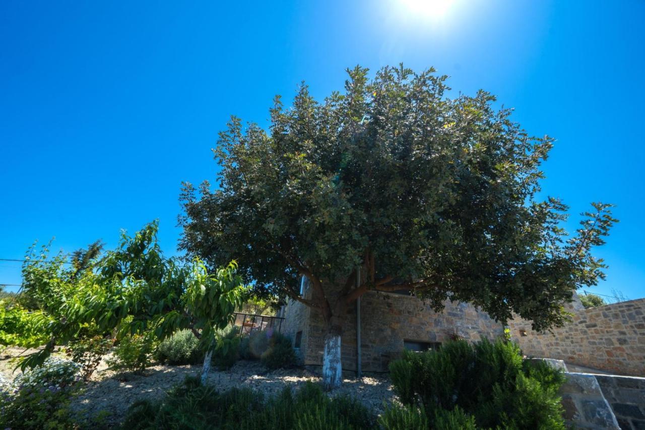 Terra Zeus Skalani Villa Skalanion Bagian luar foto